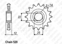 Pignon Gas-gas 200/250/300 Ec